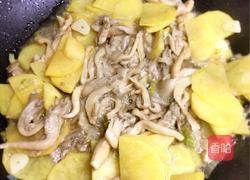 辣炒蘑菇土豆片的做法图解8
