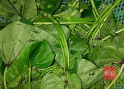 蒜泥红苕尖的做法图解1