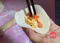 西红柿鸡蛋饺子的做法图解9
