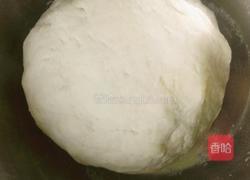 生煎汤包的做法图解7