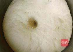 生煎汤包的做法图解17