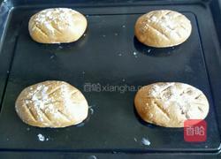 黑麦面包的做法图解20