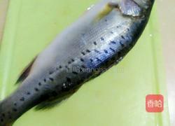 海鲈鱼的做法图解1