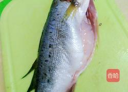 海鲈鱼的做法图解2