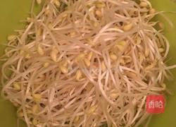 干辣椒炒黄豆芽的做法图解1