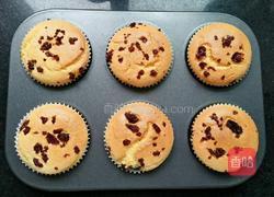 蔓越莓戚风小蛋糕的做法图解12