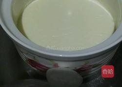 木瓜双皮奶的做法图解2