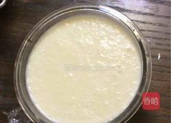 鲜奶冰淇淋的做法图解4