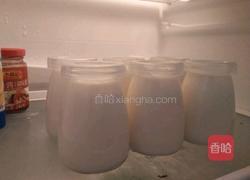 自制酸奶的做法图解9