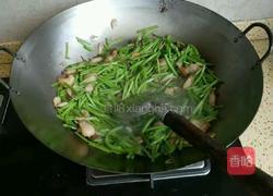 红薯根炒粉丝的做法图解4