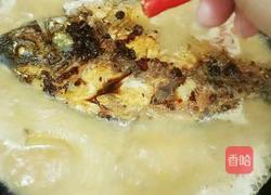 红焖福寿鱼的做法图解9