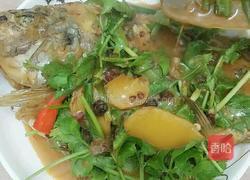 红焖福寿鱼的做法图解12