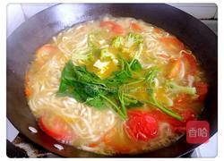 西红柿肉丝烩面的做法图解7