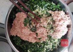 韭菜包菜猪肉饺子的做法图解6