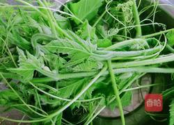 清炒南瓜藤的做法图解1