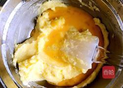 葡萄干饼干的做法图解4