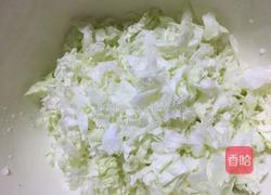 白菜猪肉饺子的做法图解2