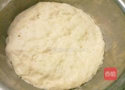 葱花火腿肠花卷的做法图解1