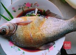 豆豉蒸鱼的做法图解3