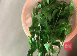 枸杞叶瘦肉汤的做法图解1