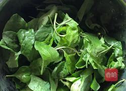 枸杞叶瘦肉汤的做法图解2