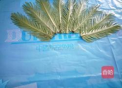 仿真孔雀开屏的做法图解6