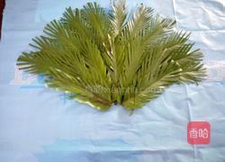 仿真孔雀开屏的做法图解7