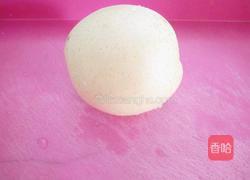 仿真孔雀开屏的做法图解12