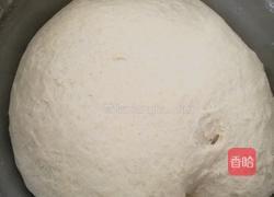 牛肉酥的做法图解2