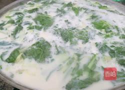 菜豆腐的做法图解6