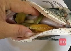 鲫鱼汤（一鱼两吃）的做法图解5