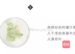 莫吉托的做法图解2