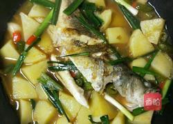 土豆烧鱼的做法图解5