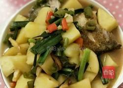 土豆烧鱼的做法图解6