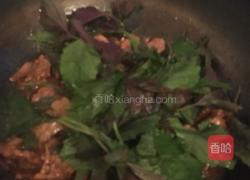 紫苏焖鸭的做法图解9