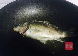 黑枸杞鲫鱼豆腐汤的做法图解4