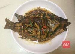 油煎焖烧罗非鱼的做法图解6