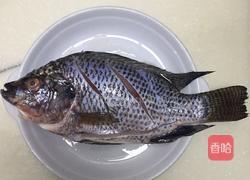 油煎焖烧罗非鱼的做法图解1