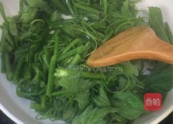 南瓜藤蔓素炒的做法图解6