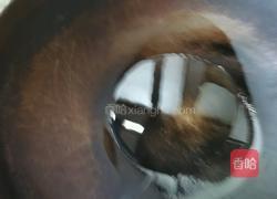 黄瓜炒鸡肉的做法图解8