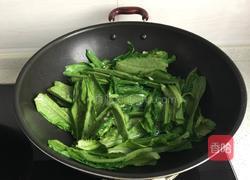 蒜蓉油麦菜的做法图解4