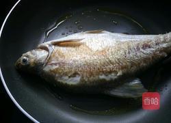 红烧鳊鱼的做法图解3