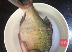 清蒸鳊鱼的做法图解3