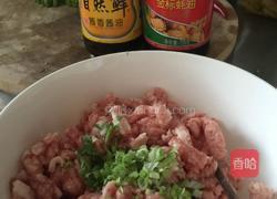 香煎蔬菜肉饼的做法图解1