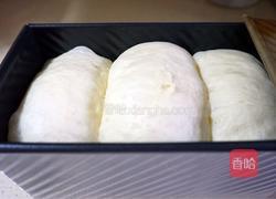 奶香吐司的做法图解15