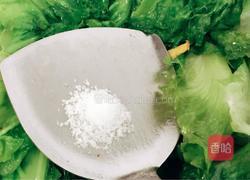 猪油渣炒生菜的做法图解4