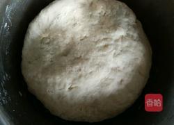 广式叉烧包的做法图解9