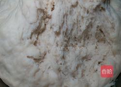 广式叉烧包的做法图解10