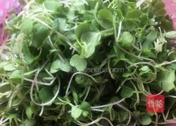 清炒萝卜苗的做法图解1