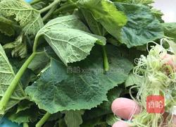 蒜末南瓜叶的做法图解1